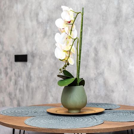 Apartamento Noguera Loft "B" Alicante Eksteriør bilde